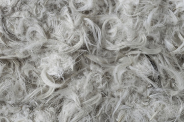White goose feathers and fluff from pillows texture background