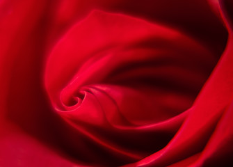 Obraz premium close-up of red rose on black background