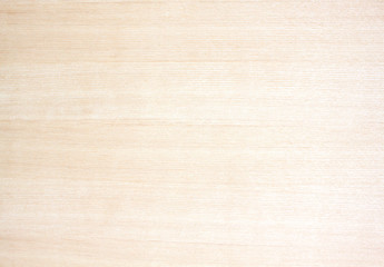 Fototapeta premium Maple wood