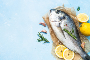 Fresh fish dorado on blue background.