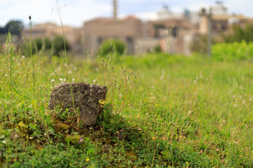 Roman forum, Palatine Hill.