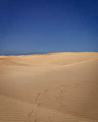 Sand dunes in the desert, Maspalomas, Gran Canaria, Spain.