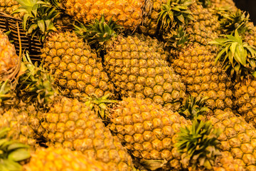 hawaiian fresh pineapples pile together view background