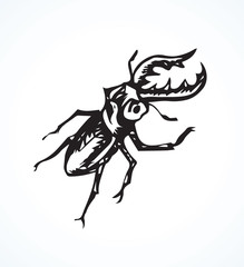 Lucanus cervus. Vector drawing