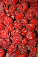 fruit, food, raspberry, red, berry, raspberries, ripe, fresh, sweet, berries, healthy, strawberry, dessert, juicy, diet, strawberries, fruits, organic, summer, natural, wild, delicious, closeup, natur