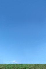 Fototapeta na wymiar 緑の芝地平線と雲の無い青空。背景用素材