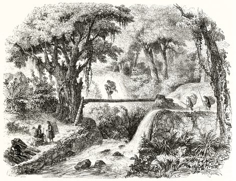 Ancient little indigenous carrying a men on his backs trough the forest in the Republic of New Granada province crossing a trunk bridge. By Freeman publ. on Magasin Pittoresque Paris 1848