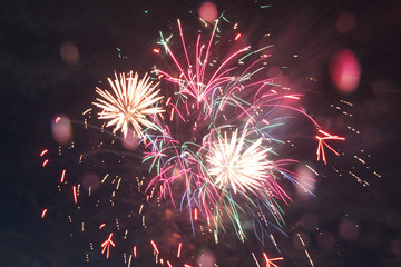 festive firework, fireworks in the night sky . Great holiday of a great country. The celebration of...