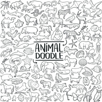 Animal Set Traditional Doodle Icons Sketch Hand Made Design Vector
