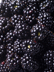 Brombeeren
