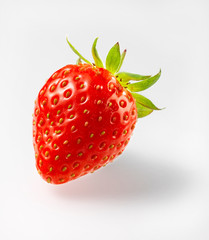 Erdbeere