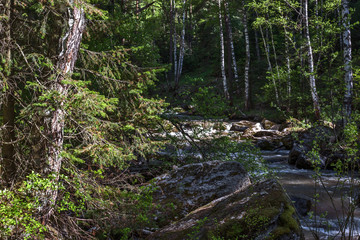 mountain river