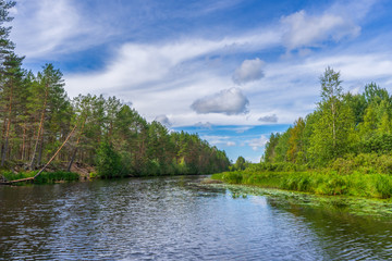 Obraz premium Picturesque summer landscape with northern river and forest in summer cloudy day. Travelling and discovering distant places of Earth. View from floating boat. Chernaya river, Karelia, Russia