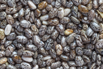 close up of uncooked chia seeds background