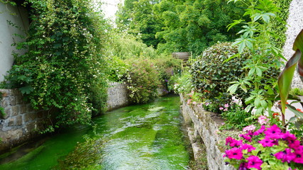 Le plus petit fleuve de France, Veules les roses