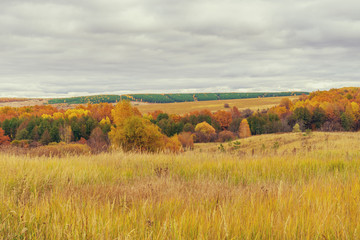 Picturesque autumn landscape in green and yellow colors. Panoramic view from hill to lowland with grove and field in cloudy day. Colorful autumnal nature, beautiful natural background