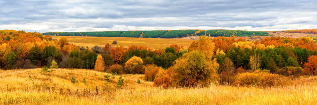 Picturesque autumn landscape in green and yellow colors. Panoramic view from hill to lowland with grove and field in cloudy day. Colorful autumnal nature, beautiful natural background