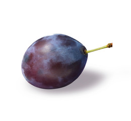 Pflaume