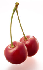 Sauerkirsche