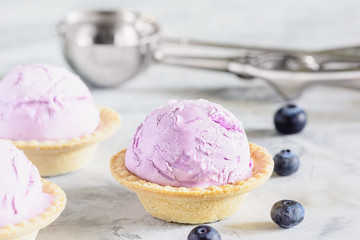 Sweet Blueberry Ice Cream Ball in Waffle Basket