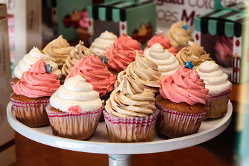 Muffins- Cupcake