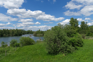 Episy  swamp nature resrve in the French G&acirc;tinais regional nature park