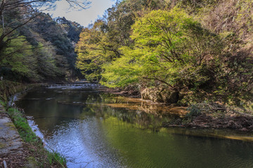 Fototapeta na wymiar 春の養老渓谷の中瀬遊歩道からみた風景