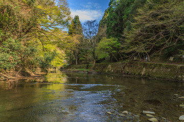 春の養老渓谷の中瀬遊歩道からみた風景