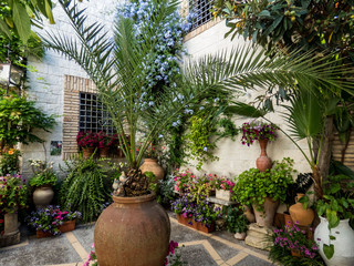 Fototapeta na wymiar Traditional flower-decorated patio in Сordoba, Spain