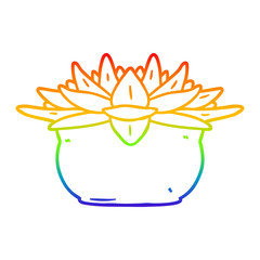 rainbow gradient line drawing cartoon succulent plant