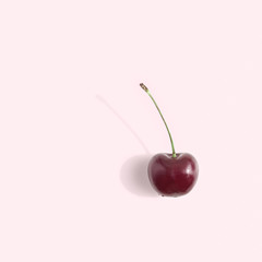 One ripe berry of a sweet cherry with a stem is on a light pink background. Flat lay, top view minimal composition.
