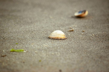 Nordseestrand - Eindrücke und Momente Juni 2019