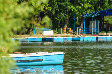 Blue boat hiding behind trees