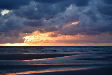 Nordseestrand - Eindrücke und Momente Juni 2019