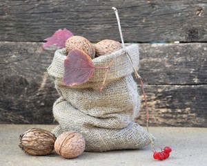 Fruits of walnuts in a canvas bag. Near the twig is an autumnal twig of viburnum with reddened leaves and ripe berries. Still life.