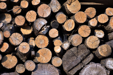 Fototapeta premium texture of sawn wood, background of stacked firewood