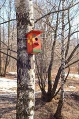 birdhouse on tree in spring