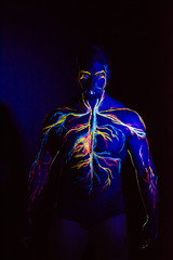 Fototapeta na wymiar UV picture of the circulatory system body art on the body of an adult male. On the chest of a muscular athlete, veins and arteries are drawn with fluorescent dyes. Neon light.