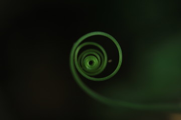 Green Spiral Plant