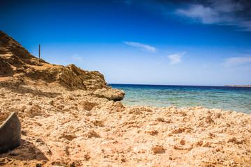 Fototapeta na wymiar Beautiful sandy beach on Red Sea, near Egypt
