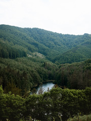 Hidden lake between the Basque mountains