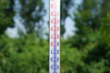 Thermometer during hot weather with trees in background