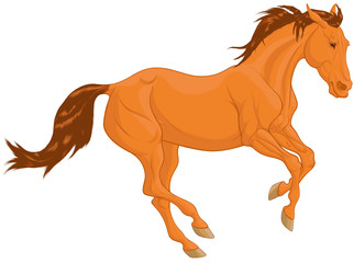 Colored illustration of a free galloping chestnut horse. The young stallion with brown mane excitedly pulled his ears back and moving at a fast pace. Vector clip art, decoration element.