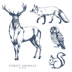 Deer, owl, squirrel and fox monochrome hand drawn sketch. Wildlife vector illustration set. Forest animal.