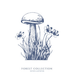 Mushroom and flowers in the grass. Forest hand drawn vector sketch.