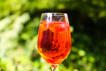 Close up of red orange cocktail in wine glass with ice cubes against green plants background