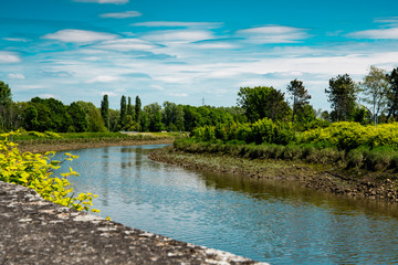 canal and green trees in Duffel, Belgium