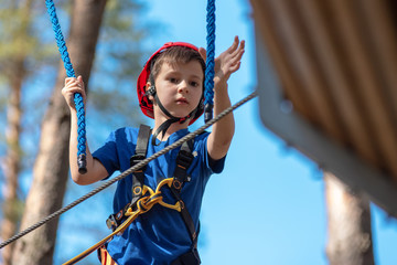 Young child boy in safety harness and helmet attached with carbine to cable moves confidently along rope way in recreation park.  Sport, game, leisure concept.