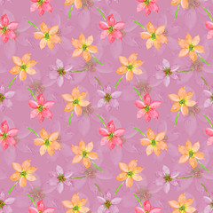 Fototapeta na wymiar pattern with pink and lilac flowers drawing watercolor on lilac background