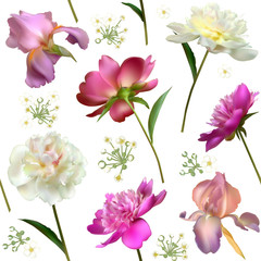 Peonies. Seamless pattern. Irises. Flowers. Floral background. Leaves. Pink. White. Color. 